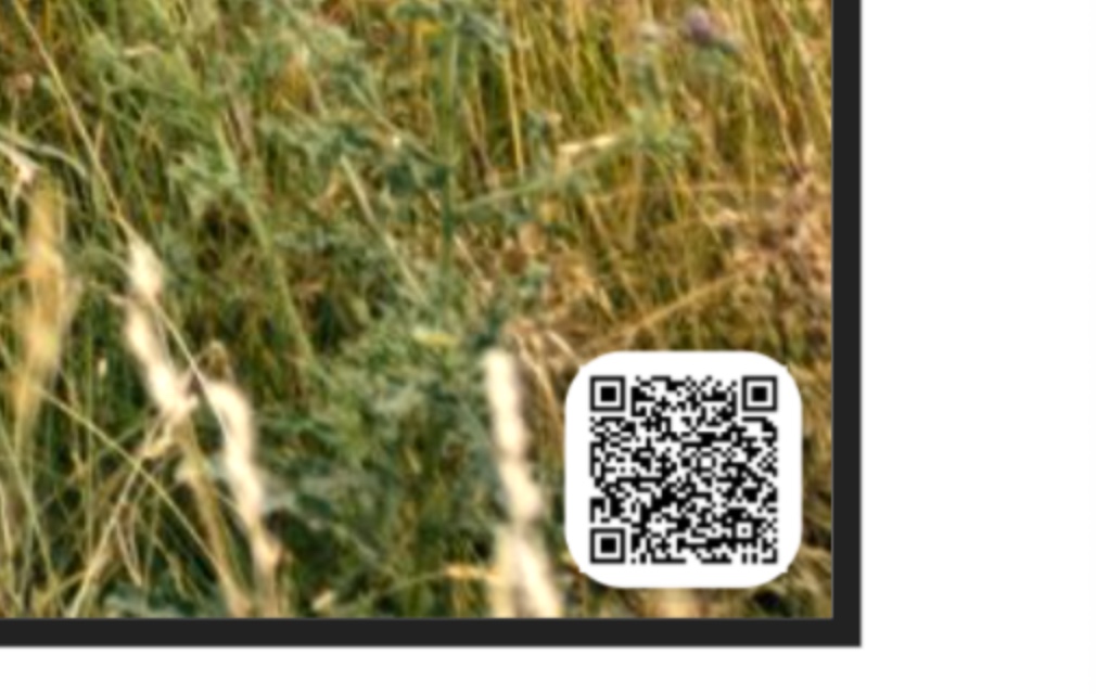 Close-up of a printed book page. A small scannable code sits in the corner of a photograph